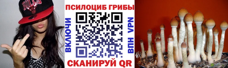 Галлюциногенные грибы Psilocybe  Мостовской 